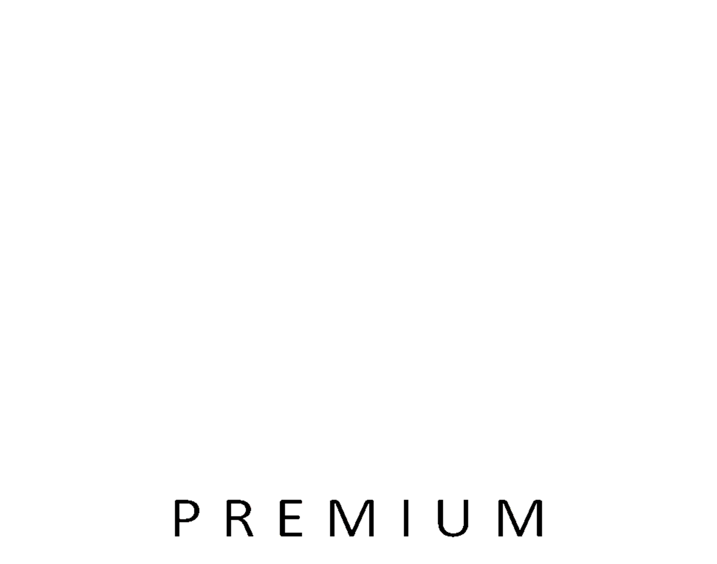 Pam Premium Hotel